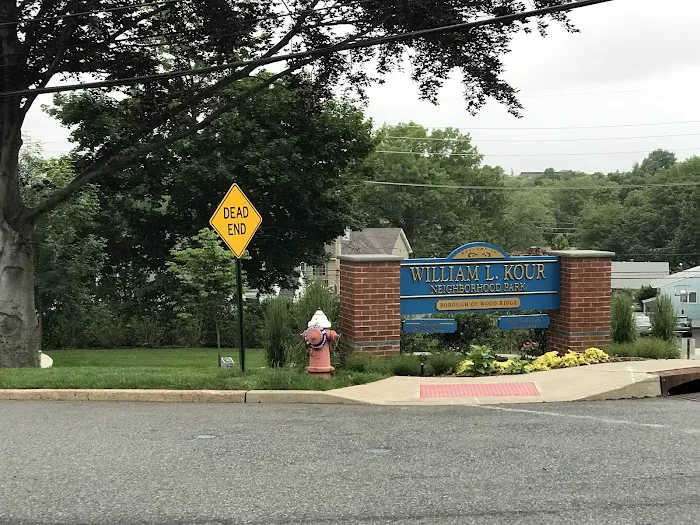 William L Kour Park and Playground Picture 10