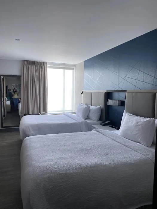 SpringHill Suites East Rutherford Meadowlands/Carlstadt Picture 6