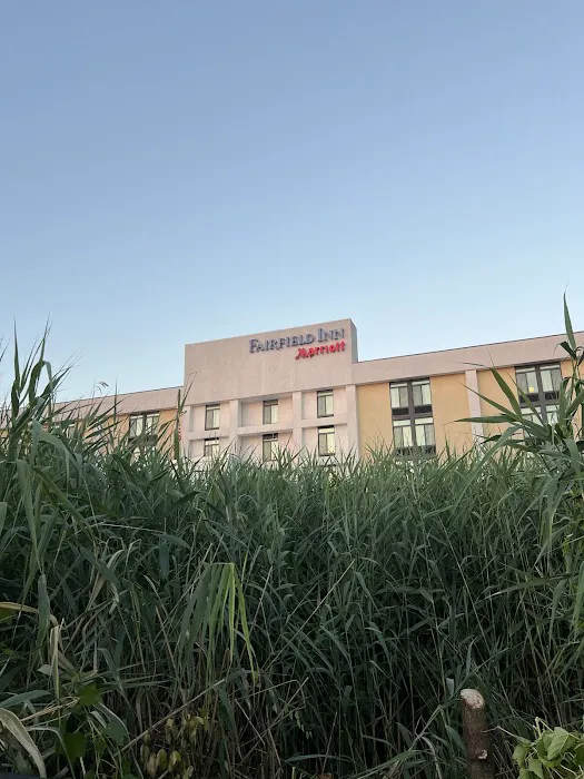 Fairfield Inn East Rutherford Meadowlands Picture 8