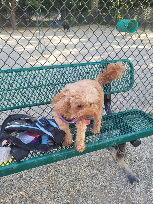 Garfield Dog Park Picture 1