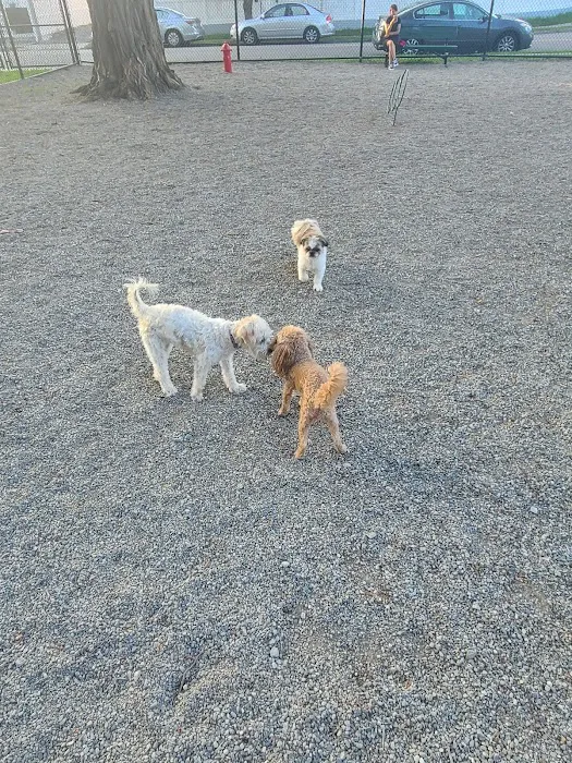 Garfield Dog Park Picture 3