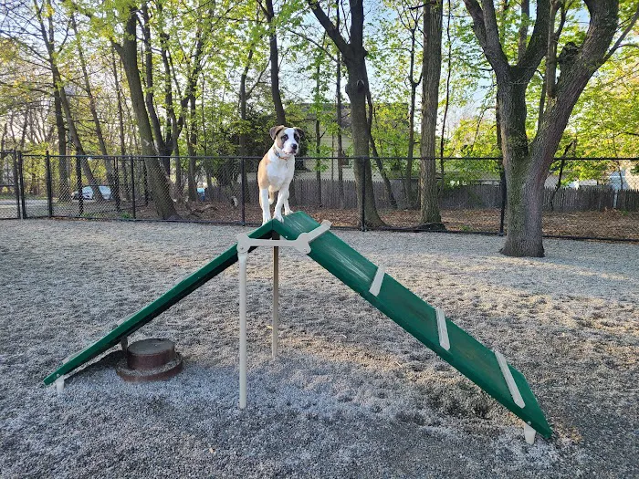 Garfield Dog Park Picture 5
