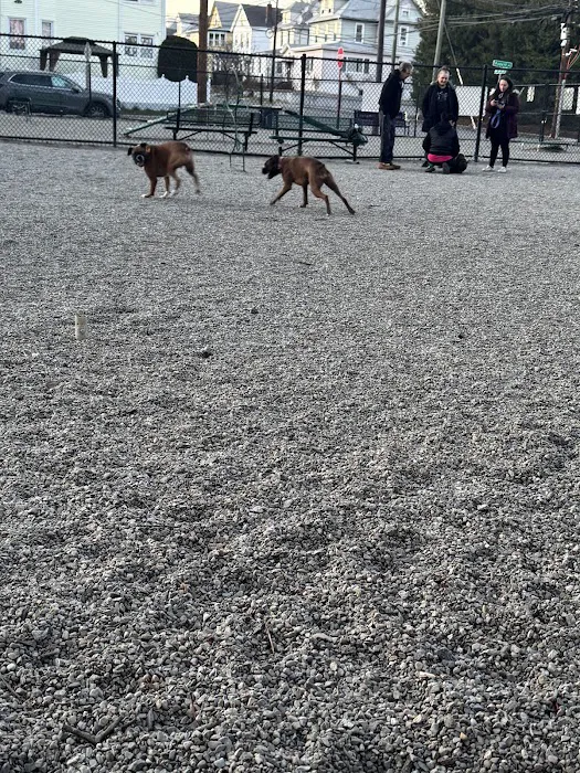 Garfield Dog Park Picture 9
