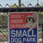 Carlstadt Dog Park