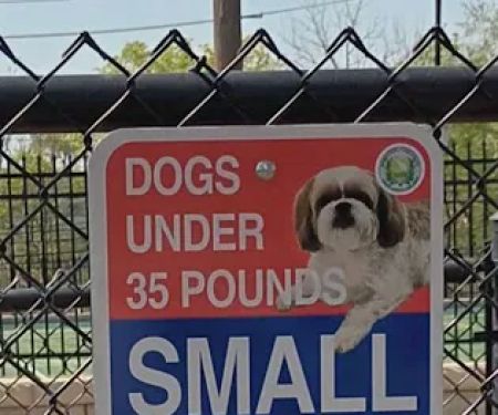 Carlstadt Dog Park