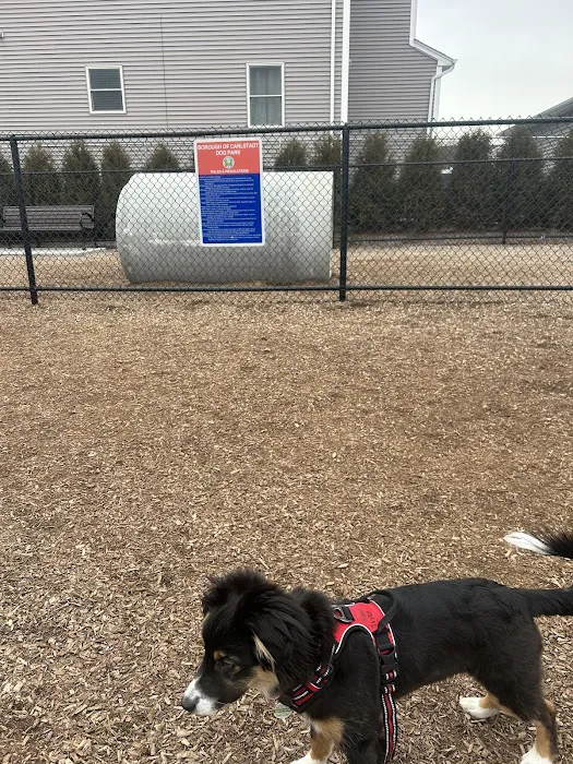 Carlstadt Dog Park Picture 9