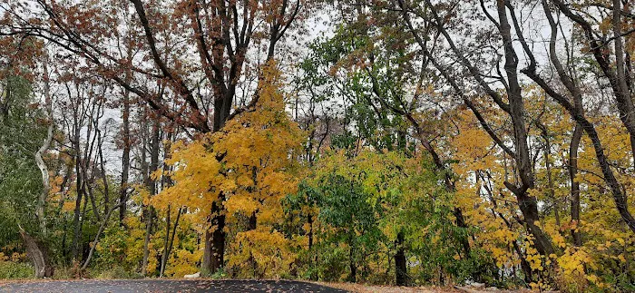 Cherry Hill Park Picture 6