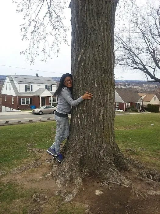 Belmont Hill County Park Picture 5