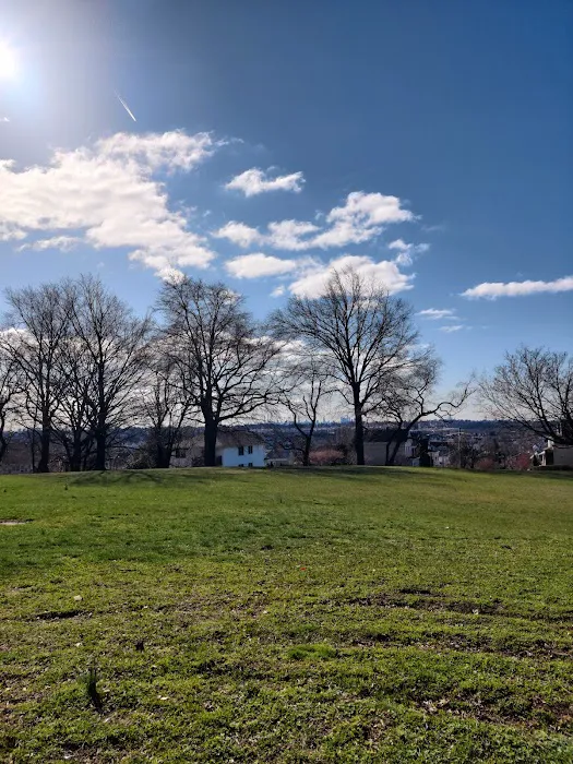 Belmont Hill County Park Picture 3