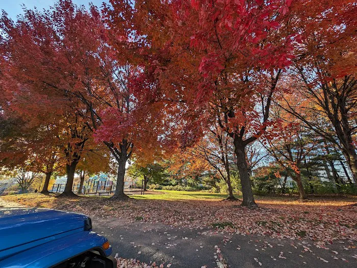 Belmont Hill County Park Picture 9