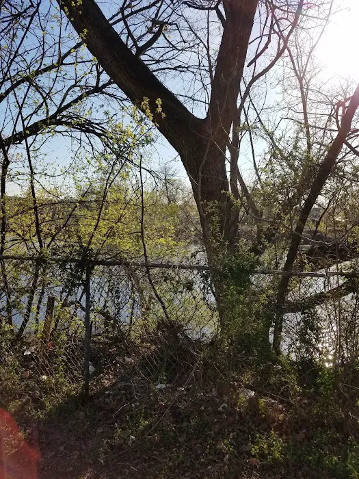 North Pulaski Park Picture 4
