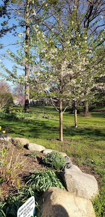 Ridgewood Parks & Recreation Picture 7