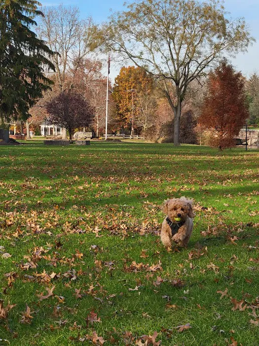 Demarest Park Picture 6