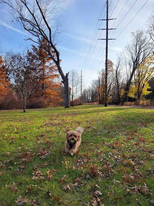 Demarest Park Picture 5