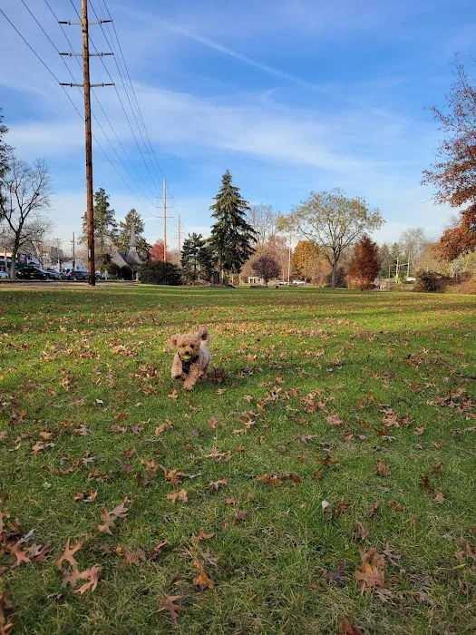 Demarest Park Picture 4