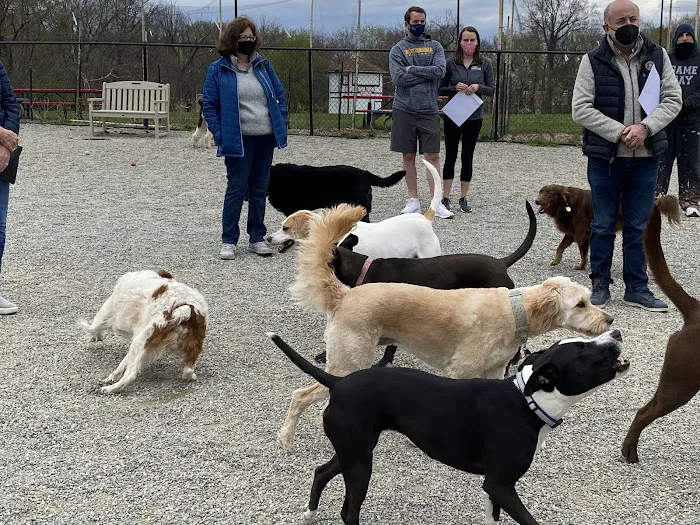 Glen Rock NJ Dog Park Picture 4