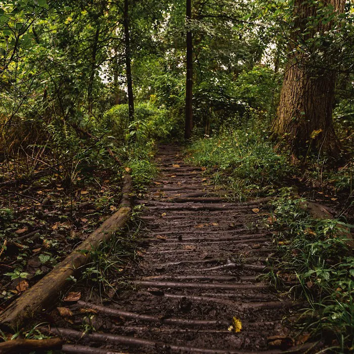 Thielke Arboretum Picture 5