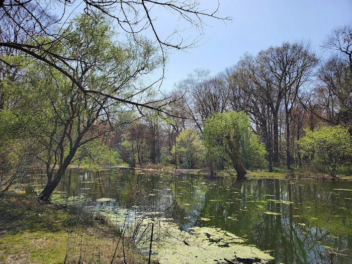 Thielke Arboretum Picture 7