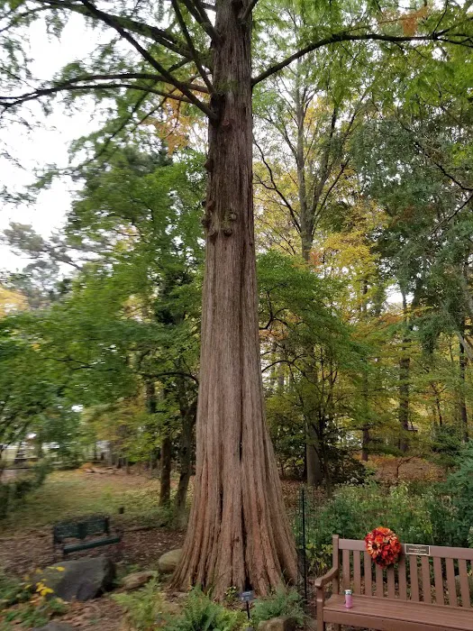 Thielke Arboretum Picture 3