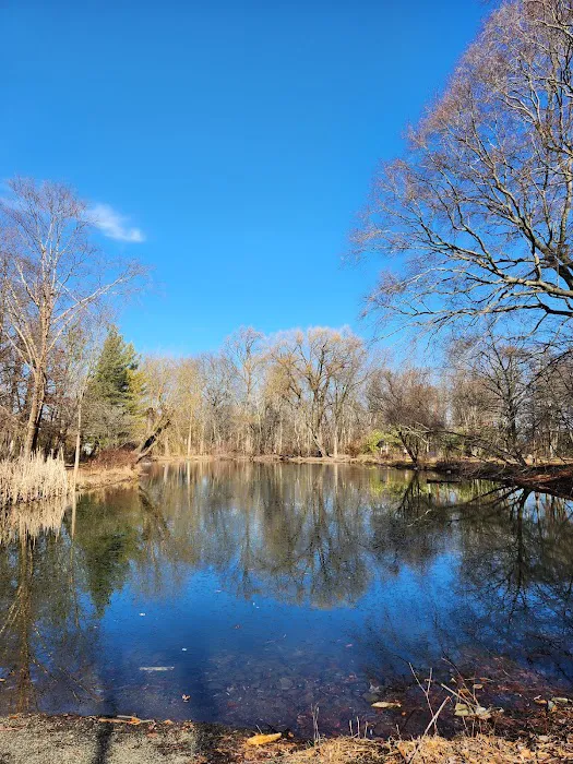 Thielke Arboretum Picture 4
