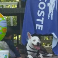 Ridgewood City Parks Division ico