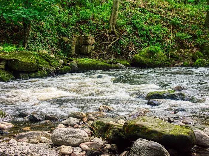 Ho-Ho-Kus Brook Ravine Picture 5