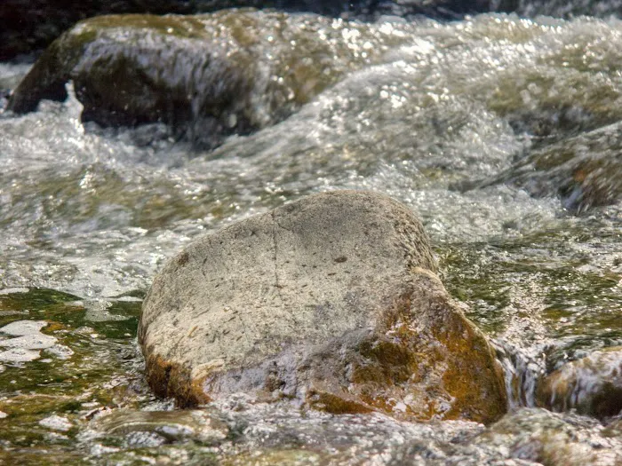 Ho-Ho-Kus Brook Ravine Picture 4