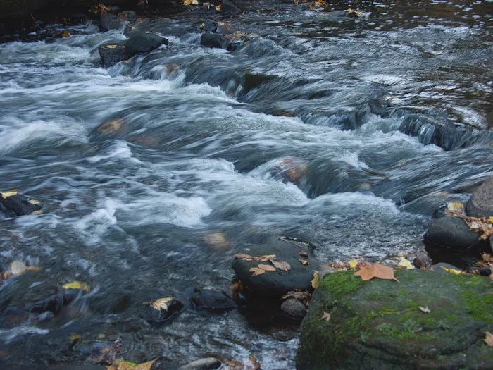 Ho-Ho-Kus Brook Ravine Picture 10