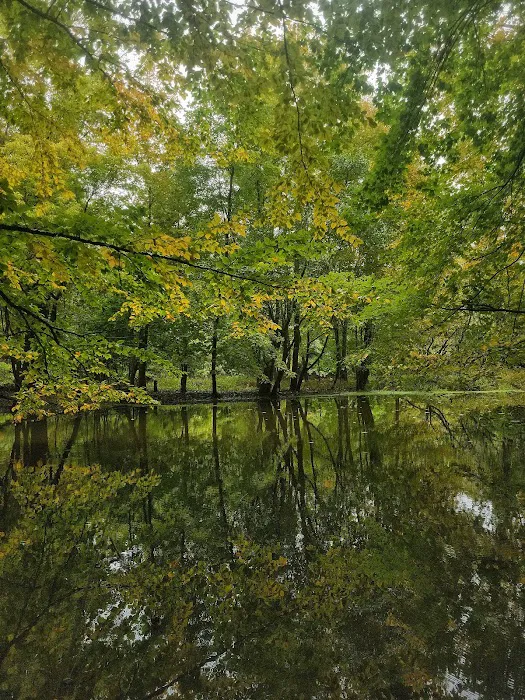 Ho-Ho-Kus Brook Ravine Picture 2