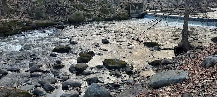 Ho-Ho-Kus Brook Ravine Picture 9