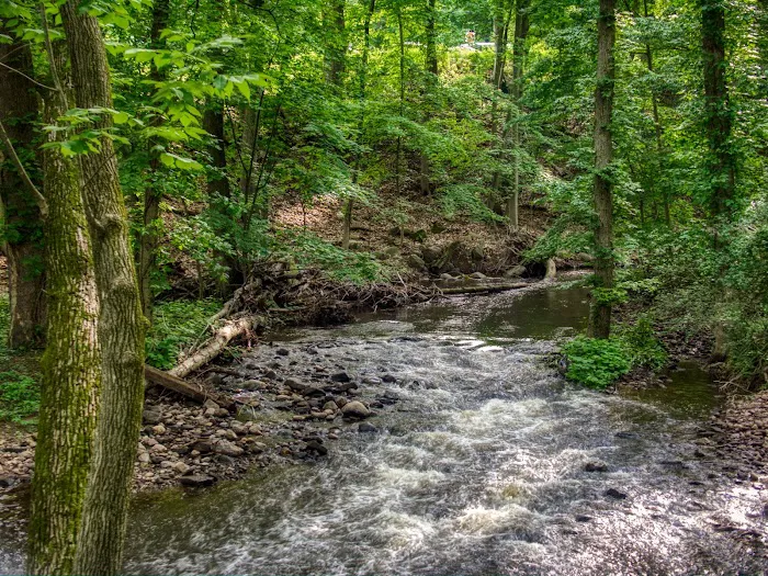 Ho-Ho-Kus Brook Ravine Picture 8
