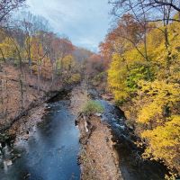 Ho-Ho-Kus Brook Ravine ico