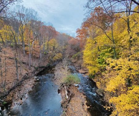 Ho-Ho-Kus Brook Ravine