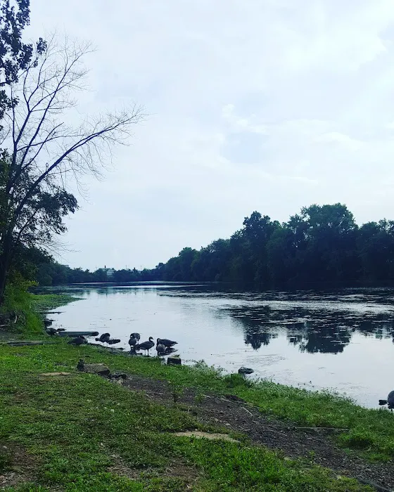 Lyncrest Park Picture 2