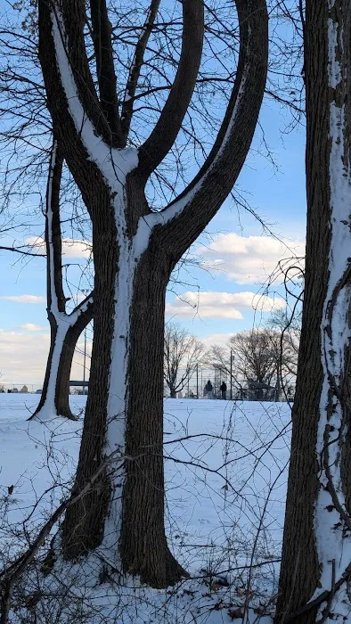 Braddock Park Picture 2