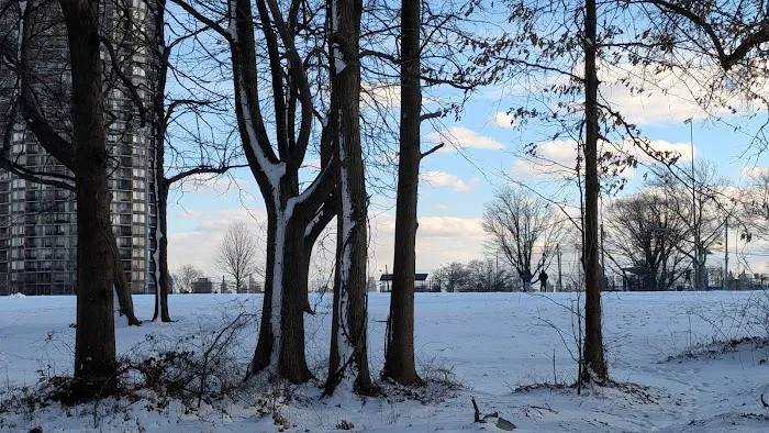 Braddock Park Picture 1