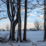 Braddock Park