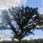 North Bergen 80th Street Park