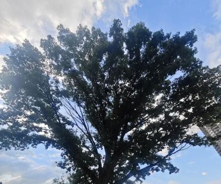 North Bergen 80th Street Park