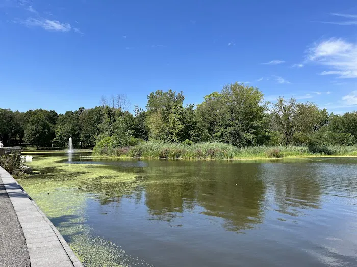 River View Park Picture 5