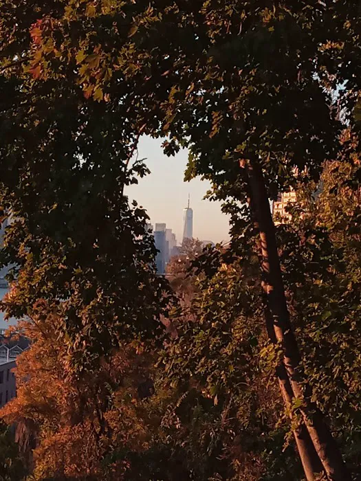 River View Park Picture 9
