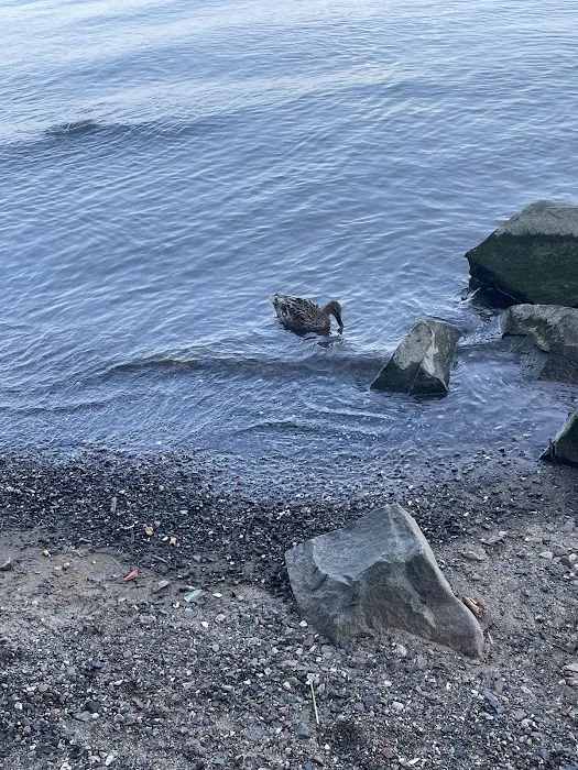 Nyack Beach State Park Picture 8