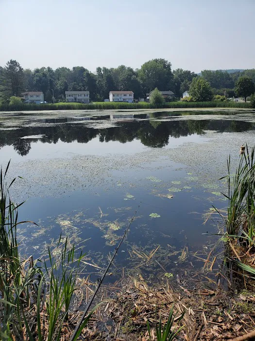 Twin Ponds Park Picture 1