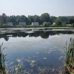 Twin Ponds Park