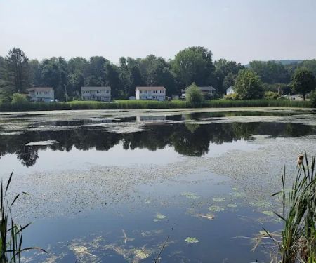 Twin Ponds Park