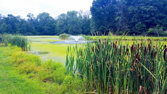 Twin Ponds Park Picture 5
