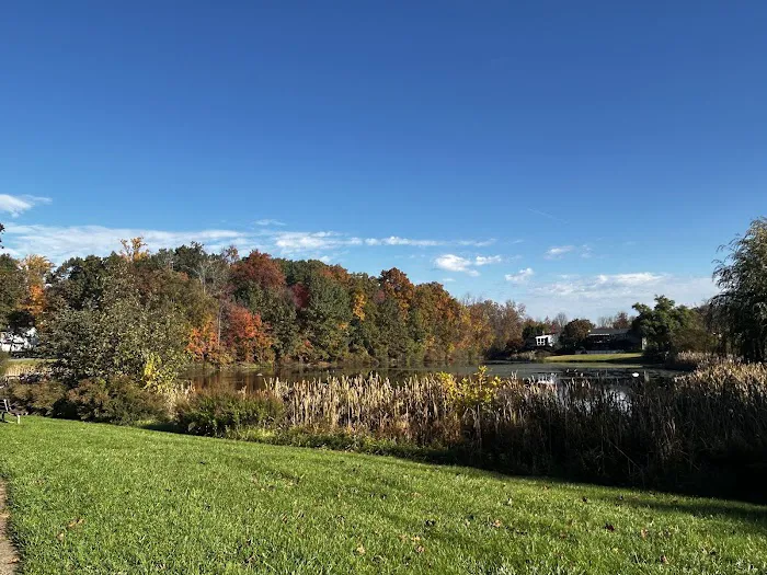 Twin Ponds Park Picture 6