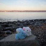 Rockland Lake State Park South