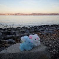 Rockland Lake State Park South ico