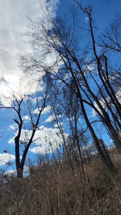 Nyack Beach State Park Picture 7
